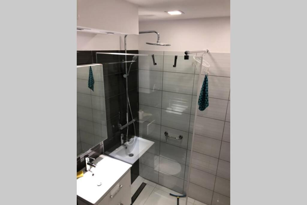 Apartament Sikornik Gliwice Bagian luar foto